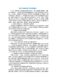 2009中国动漫产业发展报告