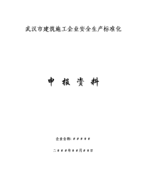 武汉市建筑施工企业安全生产标准化评价资料(全套)