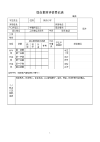 综合素质评估登记表