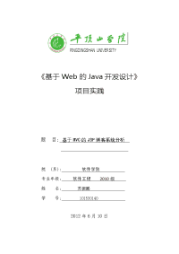 java web项目报告