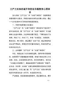 三严三实和忠诚干净担当专题教育心得体会.doc