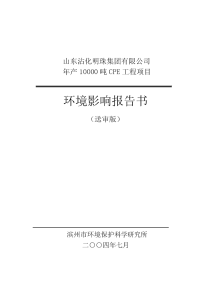 山东某公司年产1万吨cpe项目报告书