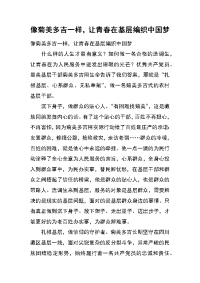 像菊美多吉一样，让青春在基层编织中国梦
