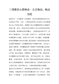 三项教育心得体会--公正执法，执法为民