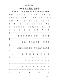 09环境工程实习报告