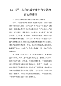 xx三严三实和忠诚干净担当专题教育心得感悟