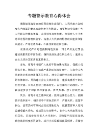 专题警示教育心得体会