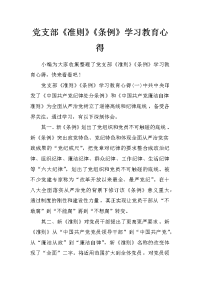 党支部《准则》《条例》学习教育心得