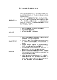 核心制度持续改进登记表1