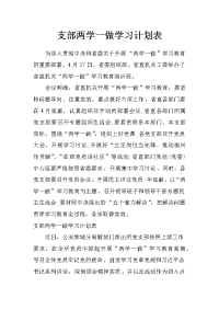 支部两学一做学习计划表