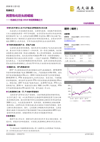 石油化工行业2018年投资策略之三：民营炼化巨头的崛起