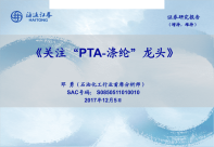 石油化工行业：《关注“pta~涤纶”龙头》