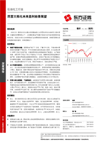 石油化工行业深度报告：民营大炼化未来盈利前景展望