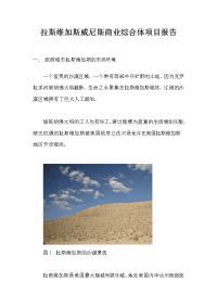 拉斯维加斯威尼斯商业综合体项目报告