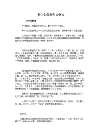 初中生优秀作文例文