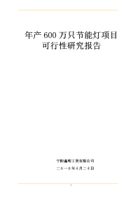 600万只节能灯可行性项目报告