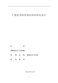 微波技术与天线三级项目报告 最终稿