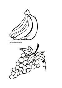 蔬菜水果简笔画图片