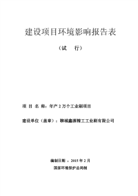 年产2万个工业刷项目环境影响报告表