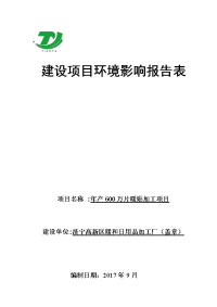 济宁高新区暖和日用品加工厂年产600万片暖贴加工项目环境影响报告表