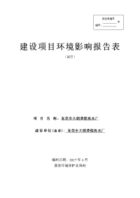 广东省东莞市东莞市大朗荣煌洗水厂环境影响报告表