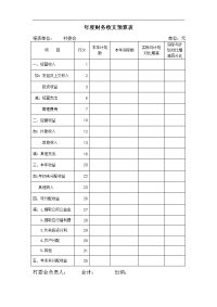 年度财务收支预算表