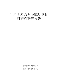 年产600万只节能灯可行性项目报告