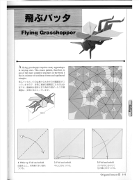 [robert.j.lang.-.折纸教程大全].robert.lang.-.origami.insects.(vol.2)flying grasshopper