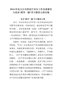 2016年电力公司营业厅安全工作自查报告与党员“两学一做”学习教育心得合集