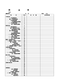 精华资料损益表表格