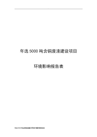 年选5000吨含铜废渣建设项目环境影响报告表