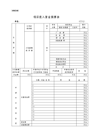 项目投入资金预算表