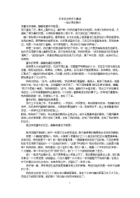 中年级优秀作文集锦
