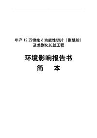 锦纶6功能性切片（聚酰胺）及差别化长丝工程环境影响报告书