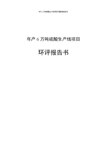 年产6万吨硫酸生产线项目环境影响报告书