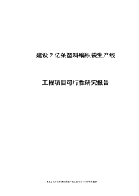 建设2亿条塑料编织袋生产线工程项目可行性研究报告