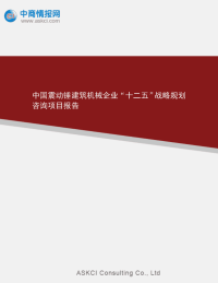 中国震动锤建筑机械企业十二五战略规划咨询项目报告