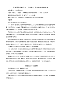 高考语文优秀作文（山东卷）：梦想在现实中起舞