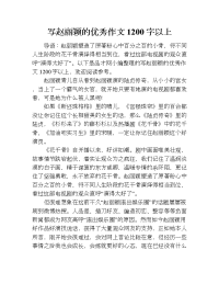 写赵丽颖的优秀作文1200字以上.doc