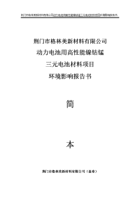 动力电池用高性能镍钴锰三元电池材料环境影响报告书