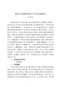 福田区战略性新兴产业发展报告