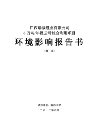 江西瑞福锂业有限公司6万吨年锂云母综合利用项目环境影响报告书简本