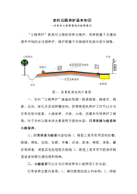 农村公路养护基本知识