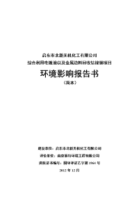 启东市北新无机化工有限公司综合利用电镀液以及金属边料回收钴镍铜项目报告书