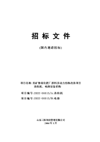 兖矿鲁南化肥厂原料及动力结构改造项目造粒机电梯设备采购招标文件