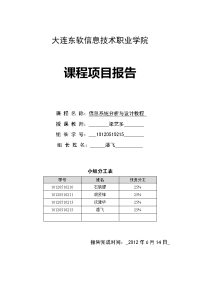 管理信息系统项目报告