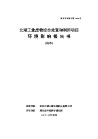 武汉北湖工业废物综合处置和利用项目建设环境评估报告书.doc