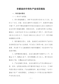 丰都县肉牛特色产业项目报告doc