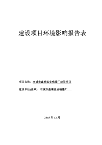 喷漆厂建设项目立项环境评估报告表.doc