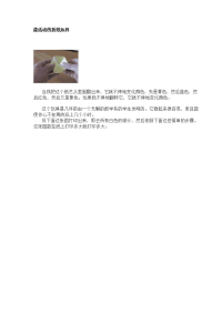 超有趣的,一步步讲解能活动的折纸玩具